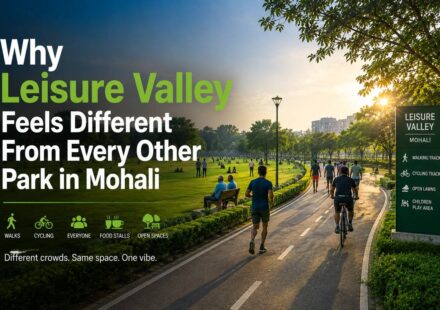 Why Leisure Valley Feels Different From Every Other Park in Mohali