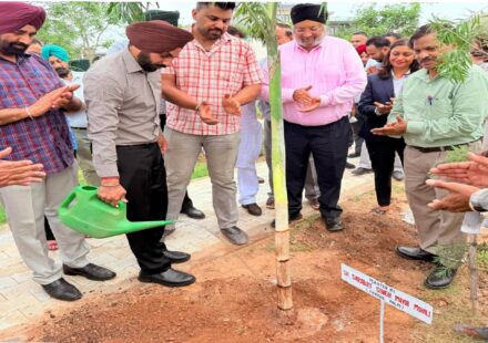 Mayor Sarabjeet Singh Samana inaugurates the newly developed green park at Sector 94, SAS Nagar Mohali, on the occasion of Van Mahotsav