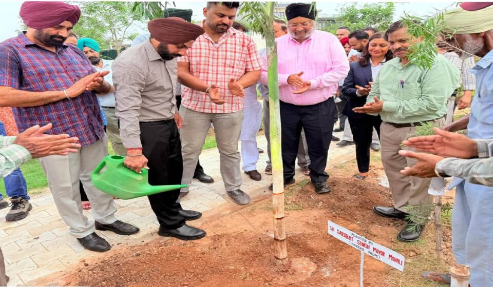 Mayor Sarabjeet Singh Samana inaugurates the newly developed green park at Sector 94, SAS Nagar Mohali, on the occasion of Van Mahotsav