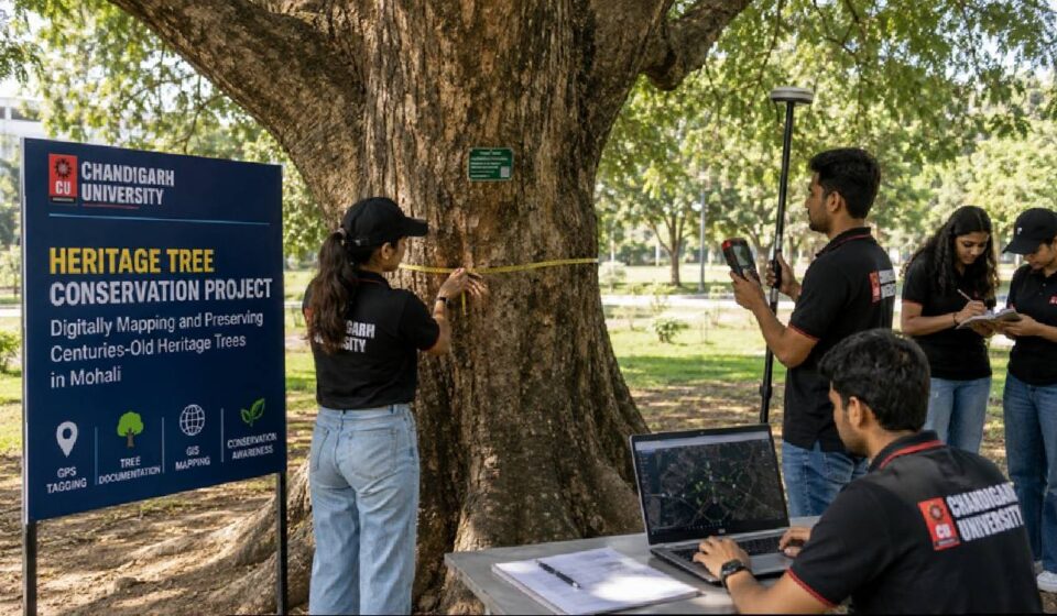 • Chandigarh University